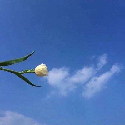 血煞奇缘百度版下载